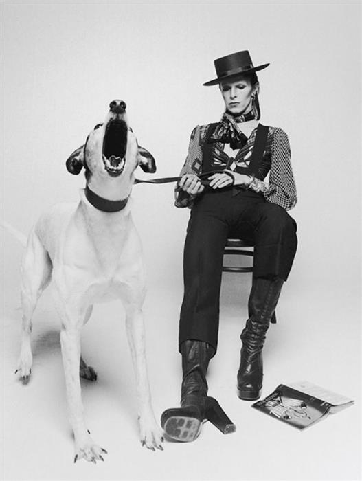 David Bowie for the Diamond Dogs album cover, 1974