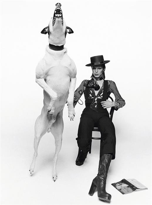 David Bowie for the Diamond Dogs album cover, 1974 iconic 