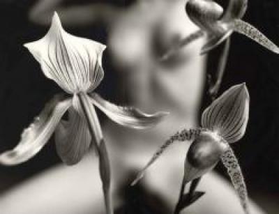 Mark Arbeit - MA