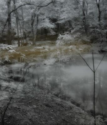 Callaway Gardens, 1989