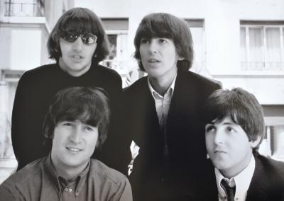 The Beetles