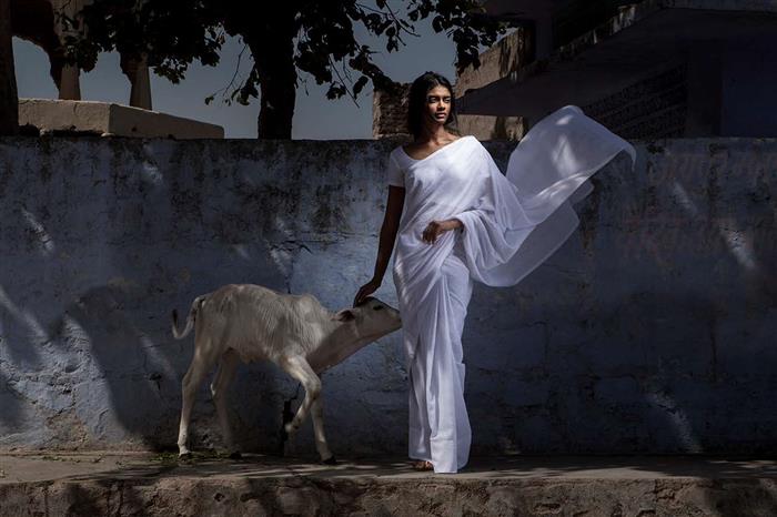 Indian Gallery Care 