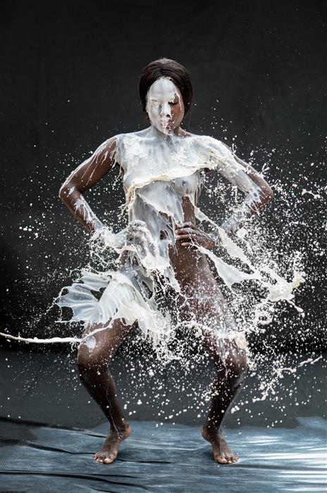 The Painters Project by ERIC CECCARINI  ,The Painter Fernando Canova 
