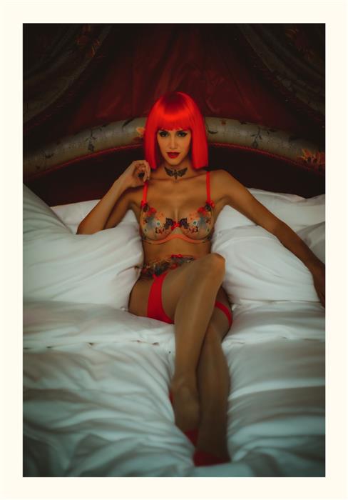 Room 217  Box Set 06