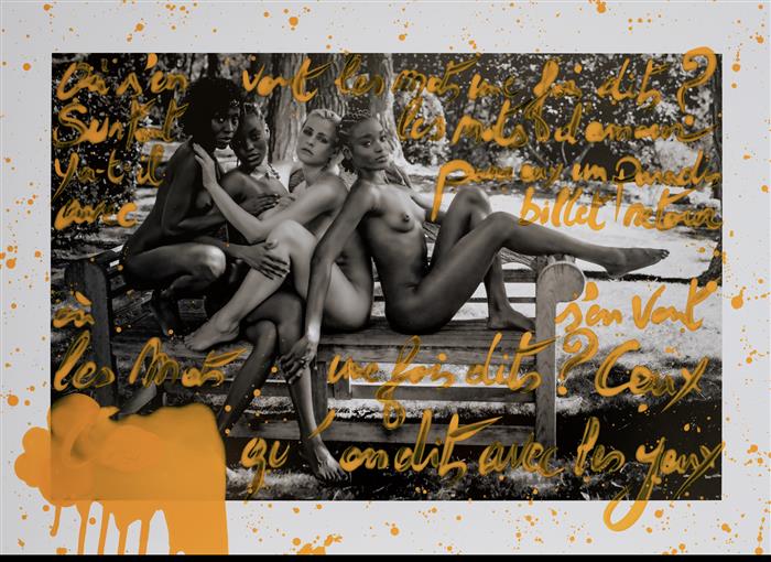 Venus Safari Volume 2  Book 