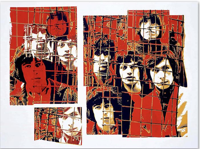 The Rolling Stones Red Cage