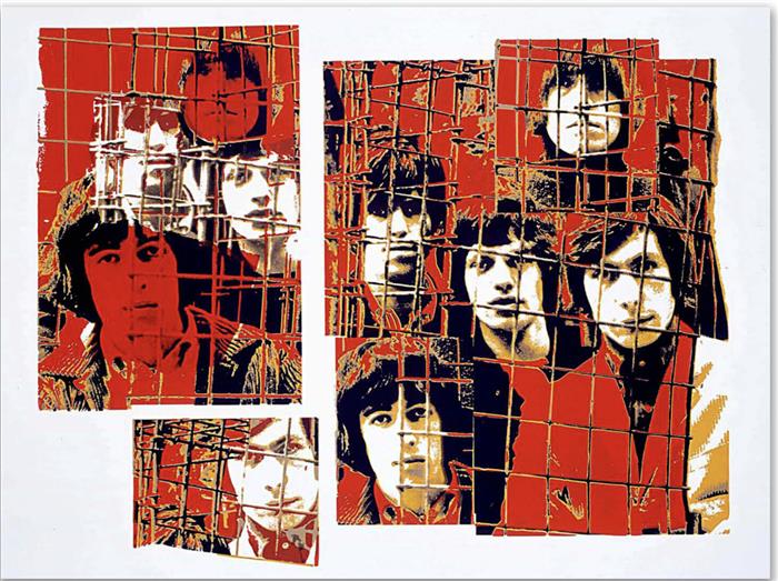 The Rolling Stones Red Cage