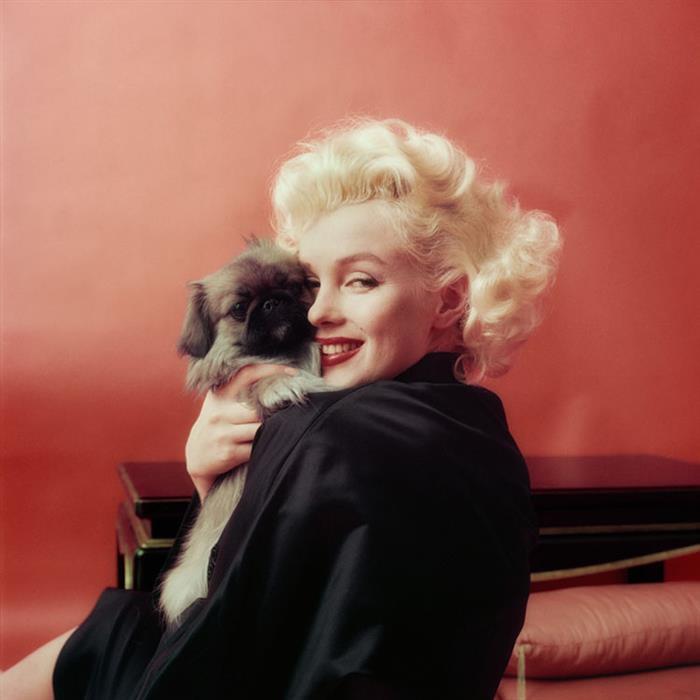Marilyn Monroe   Photographer Milton Greene 