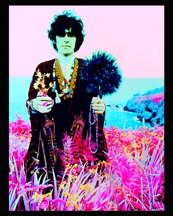 Donovan and other Musicians 