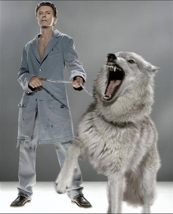 David Bowie The Protector  print size 33x40 inches 